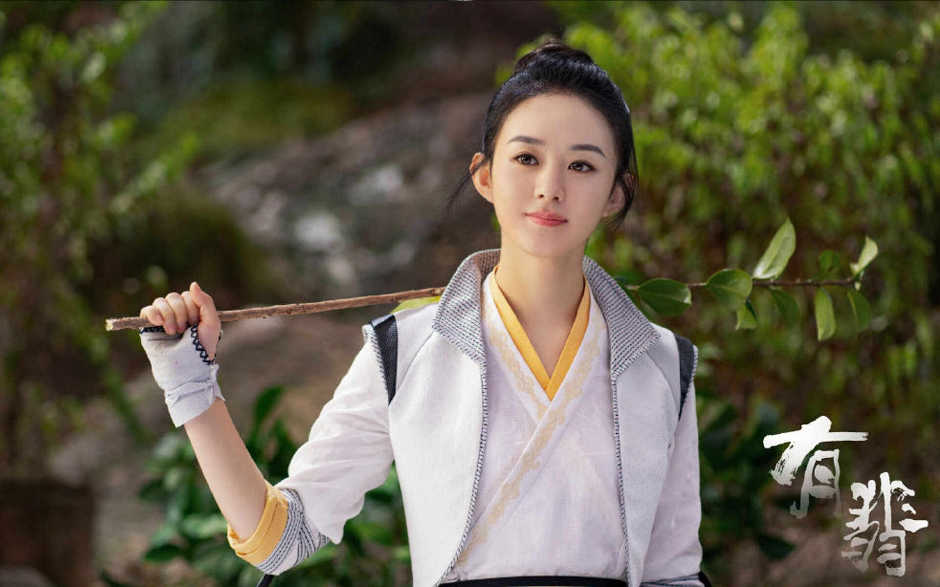 铁卫的无声咆哮，当南非的挑战遇上范戴克的重生