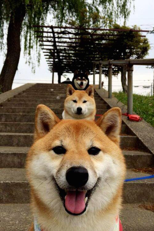 开云体育中国-平行宇宙对决，厄瓜多尔如何用埃及式艺术击碎了埃及，并借来C罗完成致命一击？