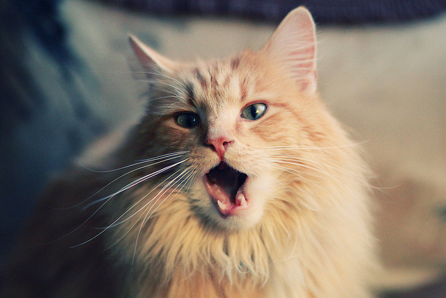 双重神迹夜，当班凯罗的无争议最佳遇上马刺的非典型绝杀