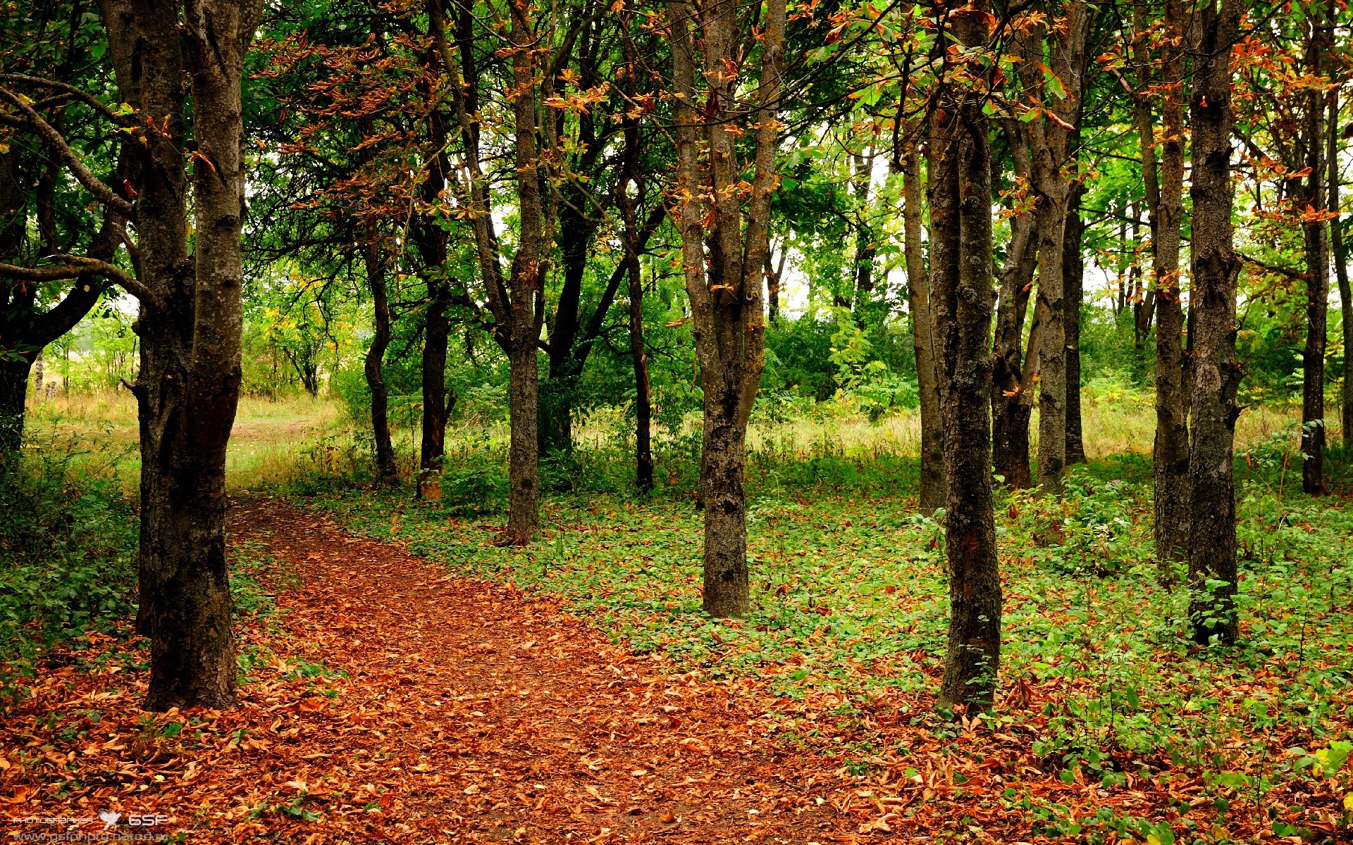 骑士降临芝加哥，西亚卡姆47分焚毁黄蜂，宿敌的终章