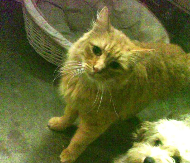 开云平台-破冰之战，哈登末节15分导演逆转，开拓者终结十年淘汰赛魔咒