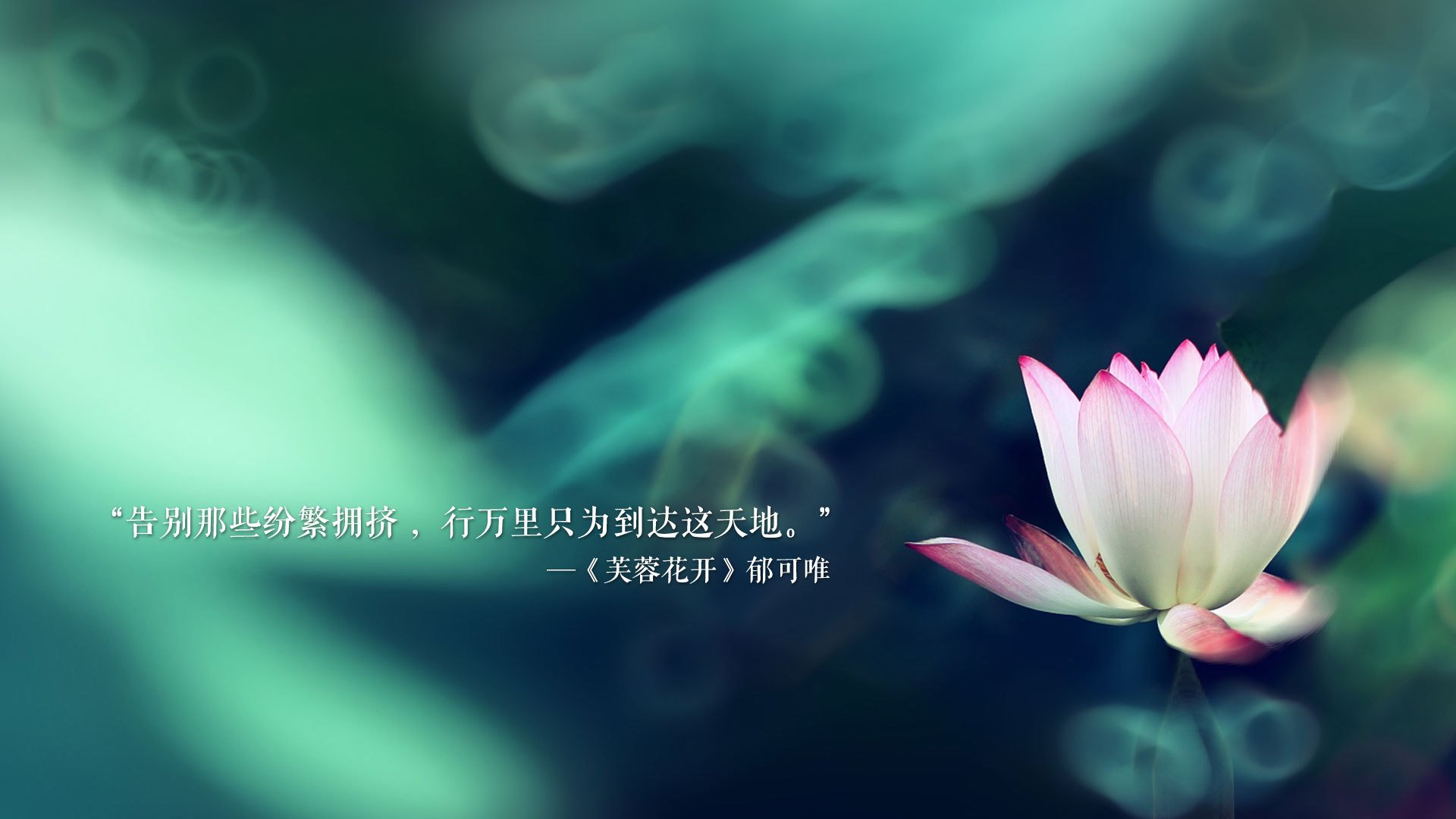 绿茵世界的唯一剧本，当巴西狂潮淹没卡塔尔，凯恩的旗帜在焦点战中猎猎作响
