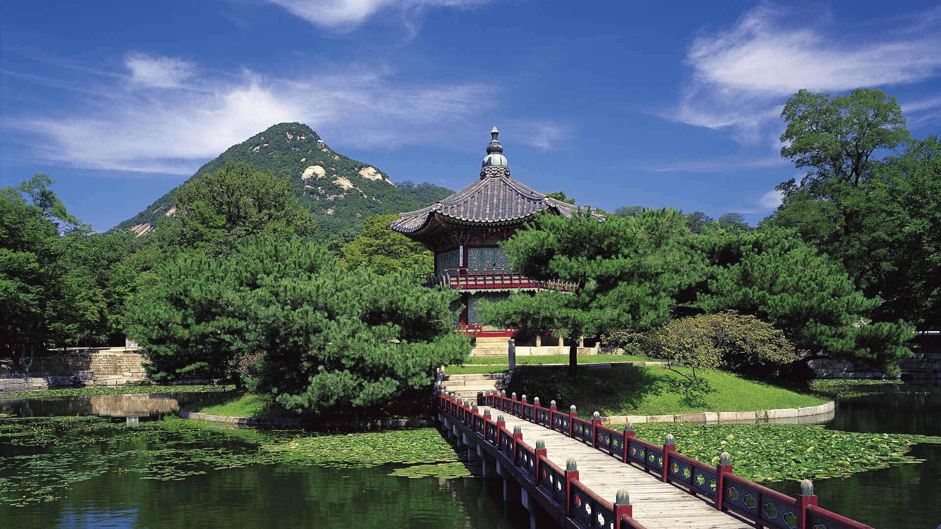 巴格达的闪电，2026世界杯半决赛，布罗佐维奇导演伊拉克绝杀泰国，重塑亚洲足球版图